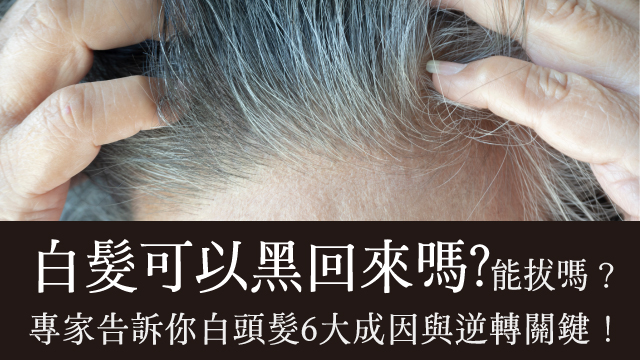 提早出現白色頭髮?專家教你4大逆轉關鍵:由成因剖析、預防護理到時尚染髮全攻略