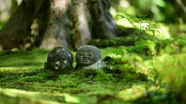 到京都避暑追新綠 三千院超萌孩童地藏 特色庭園漫步 玩買主意fun Idea Mall