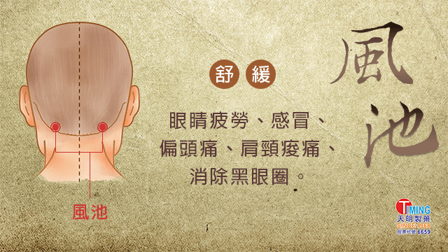 【按摩風池穴 舒緩偏頭痛、感冒不適】 | 天明健康館