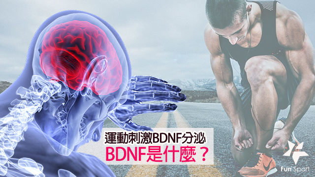 運動刺激更多BDNF活化大腦-創意運動集合（提升BDNF腦源性神經營養因子-預防憂鬱症、失智症）