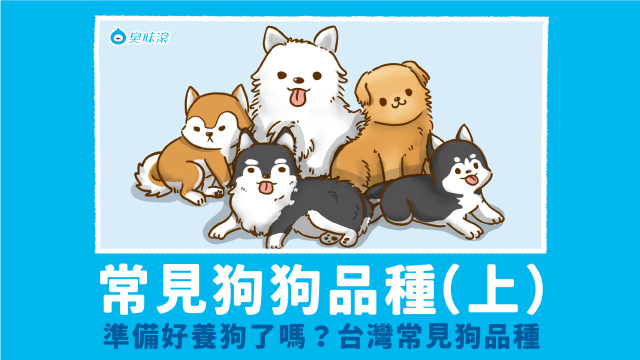 常見狗狗品種 大型犬篇 臭味滾odout